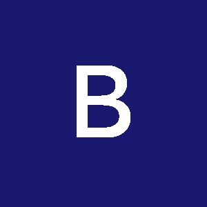 Profile photo of Budi