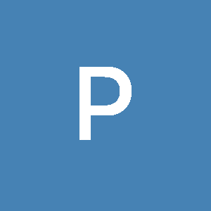 Profile photo of Privacy screen Indoor India