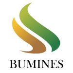 PT. Bumi Indo Resources
